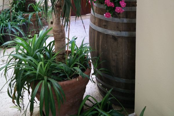 Albergo Locanda Scirocco (Castellammare del Golfo)